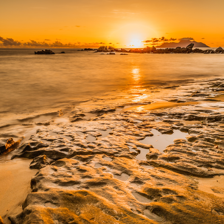 #34 Golden Hour