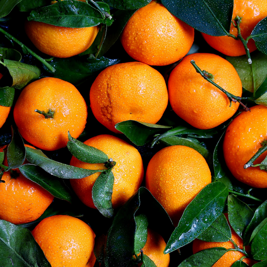 #11 Satsuma Orange